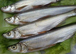 營銷推廣內(nèi)容